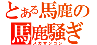 とある馬鹿の馬鹿騒ぎ（スカサンコン）