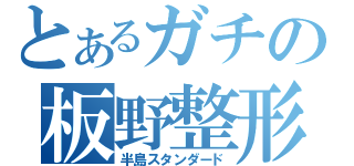 とあるガチの板野整形（半島スタンダード）