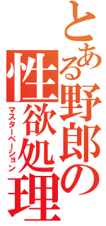 とある野郎の性欲処理（マスターベーション）