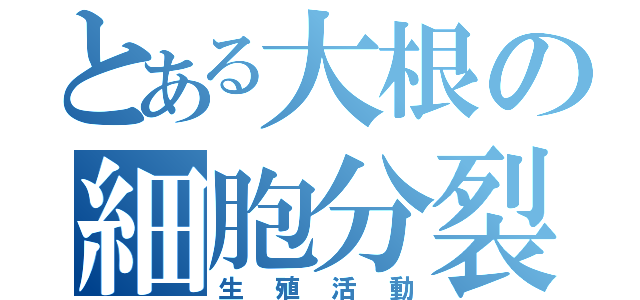 とある大根の細胞分裂（生殖活動）