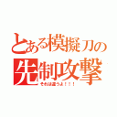 とある模擬刀の先制攻撃（それは違うよ！！！）