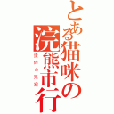 とある猫咪の浣熊市行动（蛋碎の死寂）