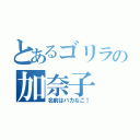 とあるゴリラの加奈子（名前はバカなこ！）