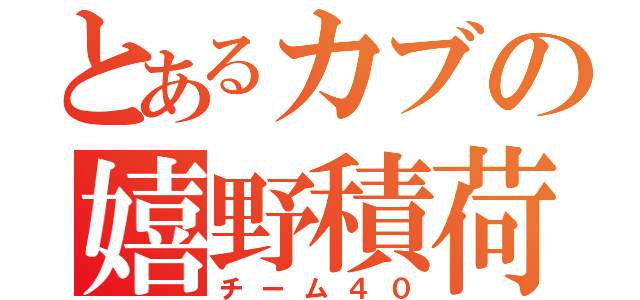 とあるカブの嬉野積荷（チーム４０）