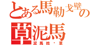 とある馬勒戈壁の草泥馬（泥馬姓爱草）