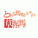 とある馬勒戈壁の草泥馬（泥馬姓爱草）