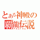 とある神殿の覇龍伝説（アカムトルム）