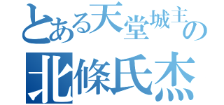 とある天堂城主の北條氏杰（）