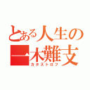 とある人生の一木難支（カタストロフ）