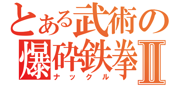 とある武術の爆砕鉄拳Ⅱ（ナックル）