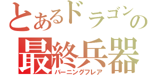 とあるドラゴンの最終兵器（バーニングフレア）