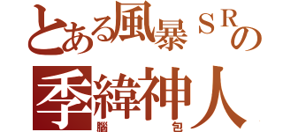 とある風暴ＳＲの季緯神人（腦包）