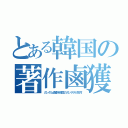 とある韓国の著作鹵獲（ガンダム鹵獲を韓国のガンヲタが反対）