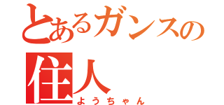 とあるガンスの住人（ようちゃん）