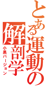 とある運動の解剖学（小黒バージョン）