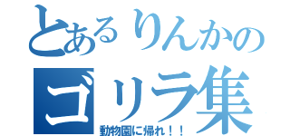 とあるりんかのゴリラ集（動物園に帰れ！！）