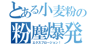 とある小麦粉の粉塵爆発（エクスプロージョン！）