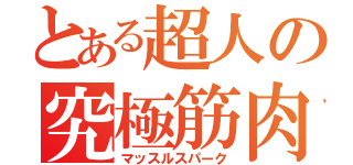 とある超人の究極筋肉（マッスルスパーク）