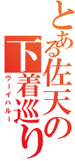 とある佐天の下着巡り（ウーイハルー）