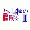 とある国家の自衛隊Ⅱ（１０式の刃）