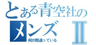 とある青空社のメンズⅡ（何が間違っている）