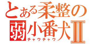 とある柔整の弱小番犬Ⅱ（チャウチャウ）