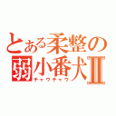 とある柔整の弱小番犬Ⅱ（チャウチャウ）