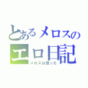 とあるメロスのエロ日記（メロスは語った）