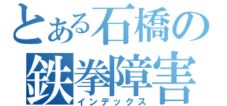 とある石橋の鉄拳障害（インデックス）