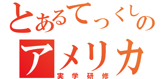 とあるてっくしーのアメリカ（実学研修）