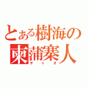 とある樹海の柬蒲寨人（チャオ）