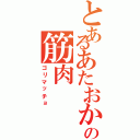 とあるあたおかの筋肉（ゴリマッチョ）