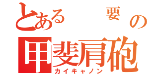 とある  要 の甲斐肩砲（カイキャノン）