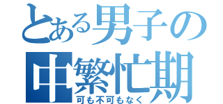 とある男子の中繁忙期（可も不可もなく）