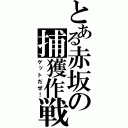 とある赤坂の捕獲作戦（ゲットだぜ！）