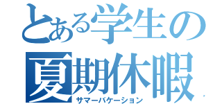 とある学生の夏期休暇（サマーバケーション）