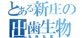 とある新庄の出歯生物（北林先輩）