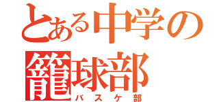 とある中学の籠球部（バスケ部）