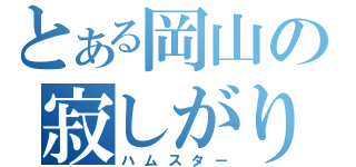 とある岡山の寂しがり（ハムスター）