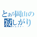 とある岡山の寂しがり（ハムスター）