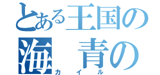 とある王国の海　青の王（カイル）