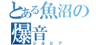 とある魚沼の爆音（シルビア）