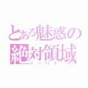 とある魅惑の絶対領域（ニーハイ）