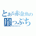 とある赤金魚の崖っぷち人生（気になるあのこは・・・）