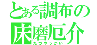 とある調布の床磨厄介（たつやっかい）