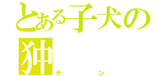 とある子犬の狆（チン）