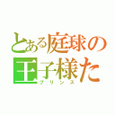 とある庭球の王子様たち（プリンス）