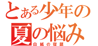 とある少年の夏の悩み（白紙の宿題）