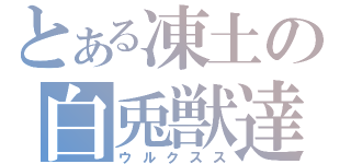 とある凍土の白兎獣達（ウルクスス）