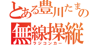 とある豊川たまの無線操縦車（ラジコンカー）